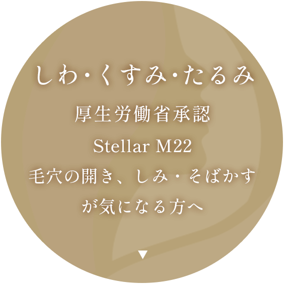 Stellar M22（バナー）